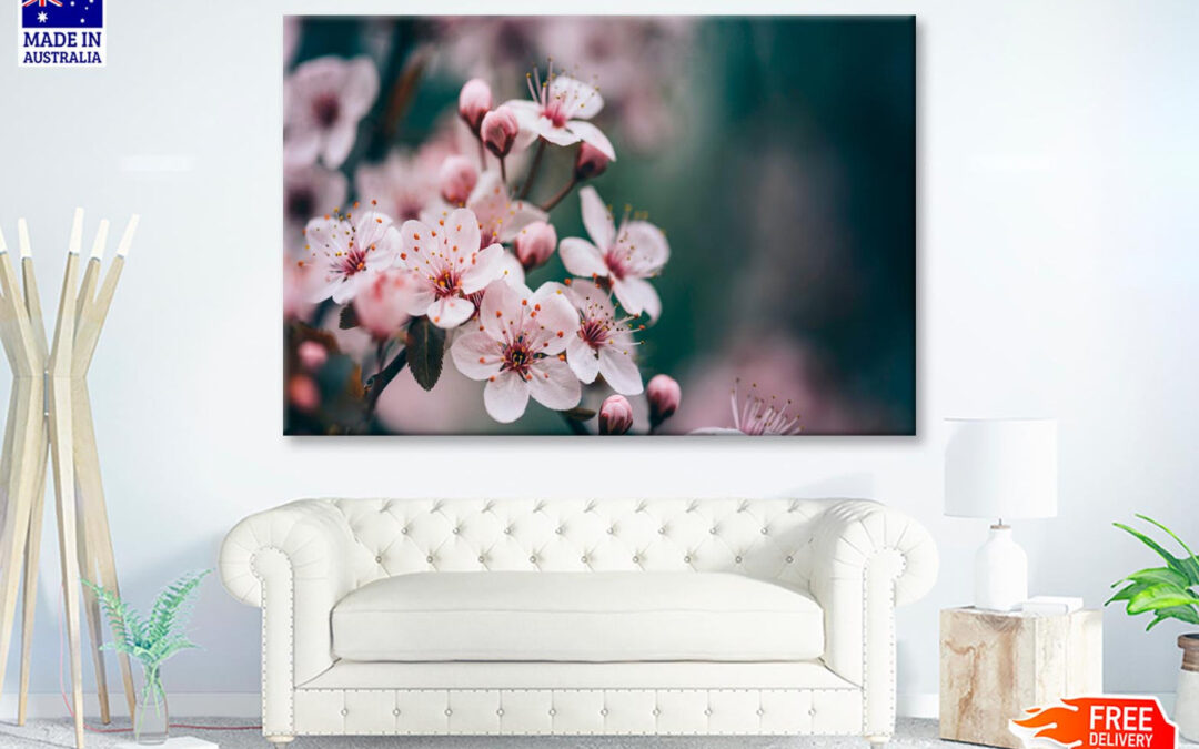 Closeup Of Spring Blossom Flower Wall Art Decor 100% Australian Made