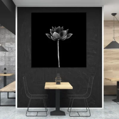 Square Canvas Lotus Flower on Dark B&W View High Quality Print 100% Australian Made