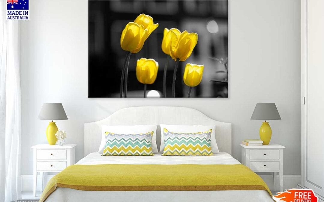 Yellow Tulip Flowers B&W View Photograph Print 100% Australian Made