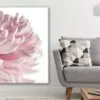 Pink Flower Closeup Photograph Print 100% Australian Made