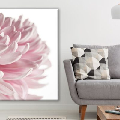 Pink Flower Closeup Photograph Print 100% Australian Made