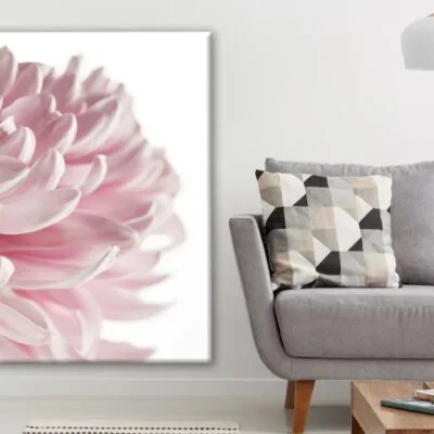 Pink Flower Closeup Photograph Print 100% Australian Made