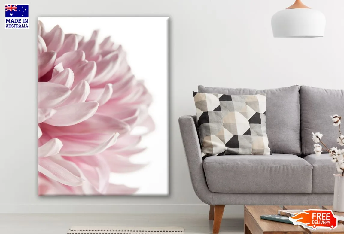 Pink Flower Closeup Photograph Print 100% Australian Made