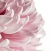 Pink Flower Closeup Photograph Print 100% Australian Made - Image 2