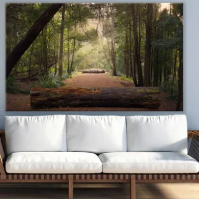Forest Road Photograph Print 100% Australian Made