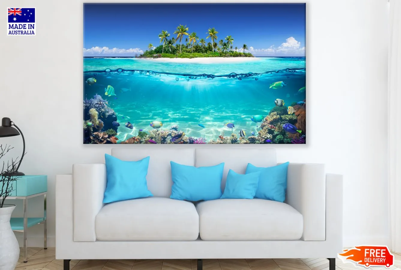 Underwater Fish Life Photograph Print 100% Australian Made