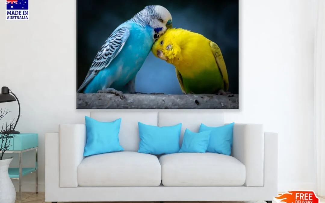 Love Birds Closeup Photograph Print 100% Australian Made