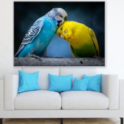 Love Birds Closeup Photograph Print 100% Australian Made