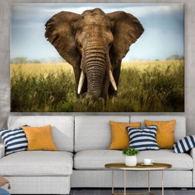Elephant Portrait Photograph Print 100% Australian Made