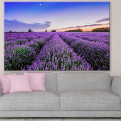 Lavender Field Sunset Photograph Print 100% Australian Made