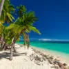 Palm Trees on Beach Sea Scenery Print 100% Australian Made - Image 2
