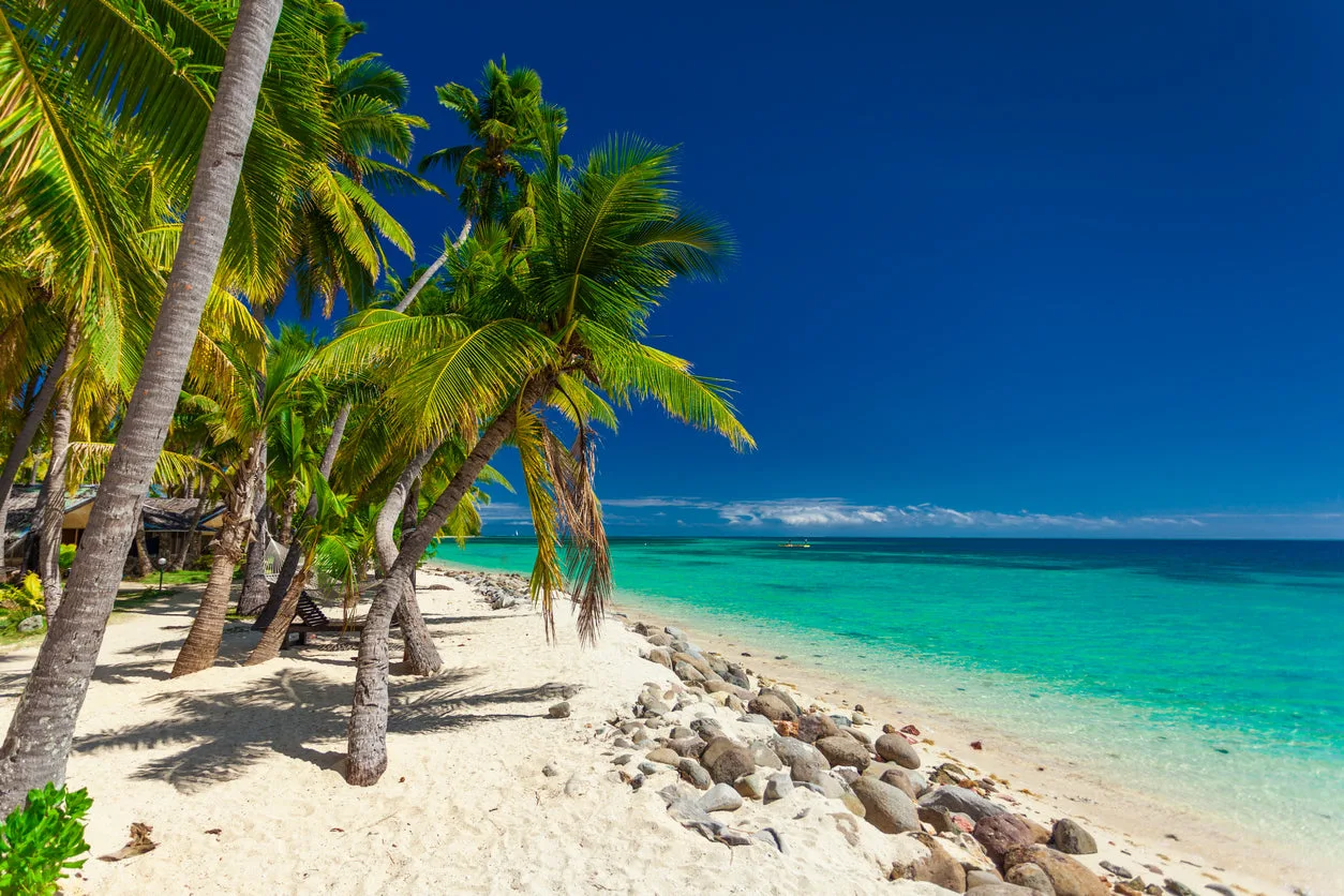 Palm Trees on Beach Sea Scenery Print 100% Australian Made - Image 2