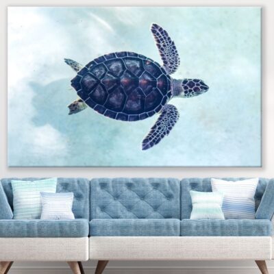 Turtle Closeup Photograph Print 100% Australian Made