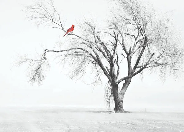 Red Bird Forest trees Modern Canvas Painting Print Picture - Image 2