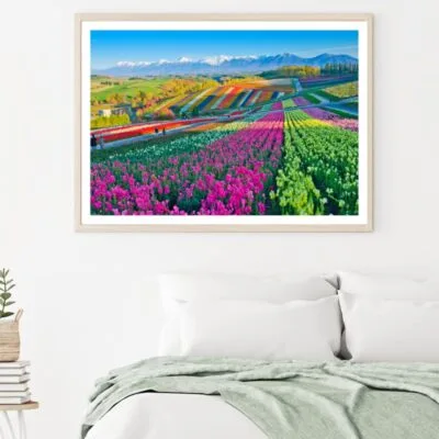 Colorful Tulips Field Photograph Home Decor Premium Quality Poster Print Choose Your Sizes