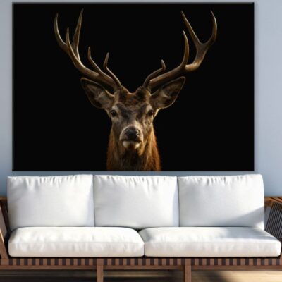 Deer Face Portrait Photograph Print 100% Australian Made
