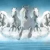 Horses Running on Water View Print 100% Australian Made - Image 2