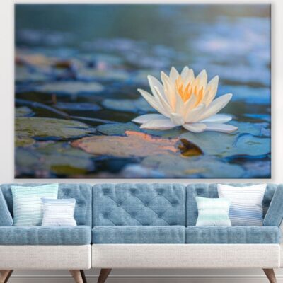 Lotus Flower on Water Photograph Print 100% Australian Made