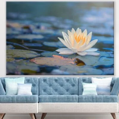 Lotus Flower on Water Photograph Print 100% Australian Made
