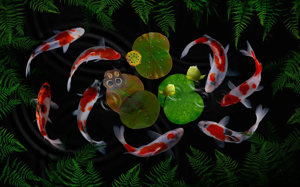 Koi Fish in Pond Digital Art Home Decor Premium Quality Poster Print Choose Your Sizes - Image 2