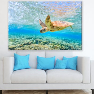 Turtle in Sea Photograph Print 100% Australian Made