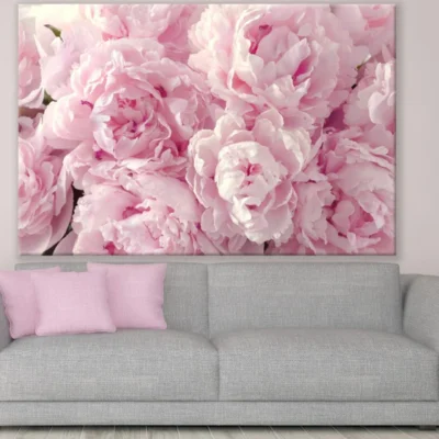 Pink Peonies Closeup Photograph Print 100% Australian Made