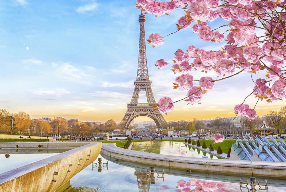 Eiffel Tower & Cherry Blossom Tree Photograph Print 100% Australian Made - Image 2