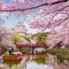 Canal Between Cherry Blossom Trees Japan Landscape Print 100% Australian Made - Image 2