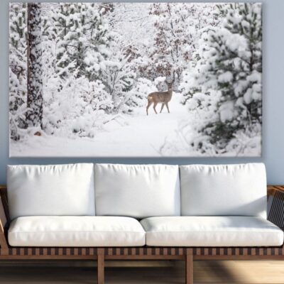 Deer in Forest Photograph Print 100% Australian Made