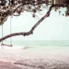 Swing on a Tree Near Beach Print 100% Australian Made - Image 2