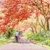 Couple in Forest Road Painting Home Decor Premium Quality Poster Print Choose Your Sizes - Image 2