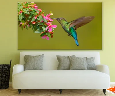 Tropical Hibiscus Flowers and Humming Bird Print 100% Australian Made