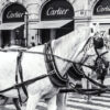 Bella Home Black And White Horse with Fashion Store Print Canvas Ready to hang - Image 3