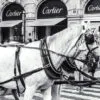 Bella Home Black And White Horse with Fashion Store Print Canvas Ready to hang - Image 3