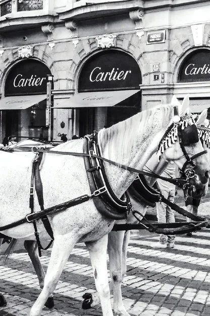 Bella Home Black And White Horse with Fashion Store Print Canvas Ready to hang - Image 3