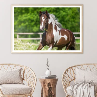 Brown And White Stallion Running Home Decor Premium Quality Poster Print Choose Your Sizes