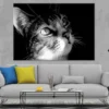 Cat Face View B&W Photograph Print 100% Australian Made