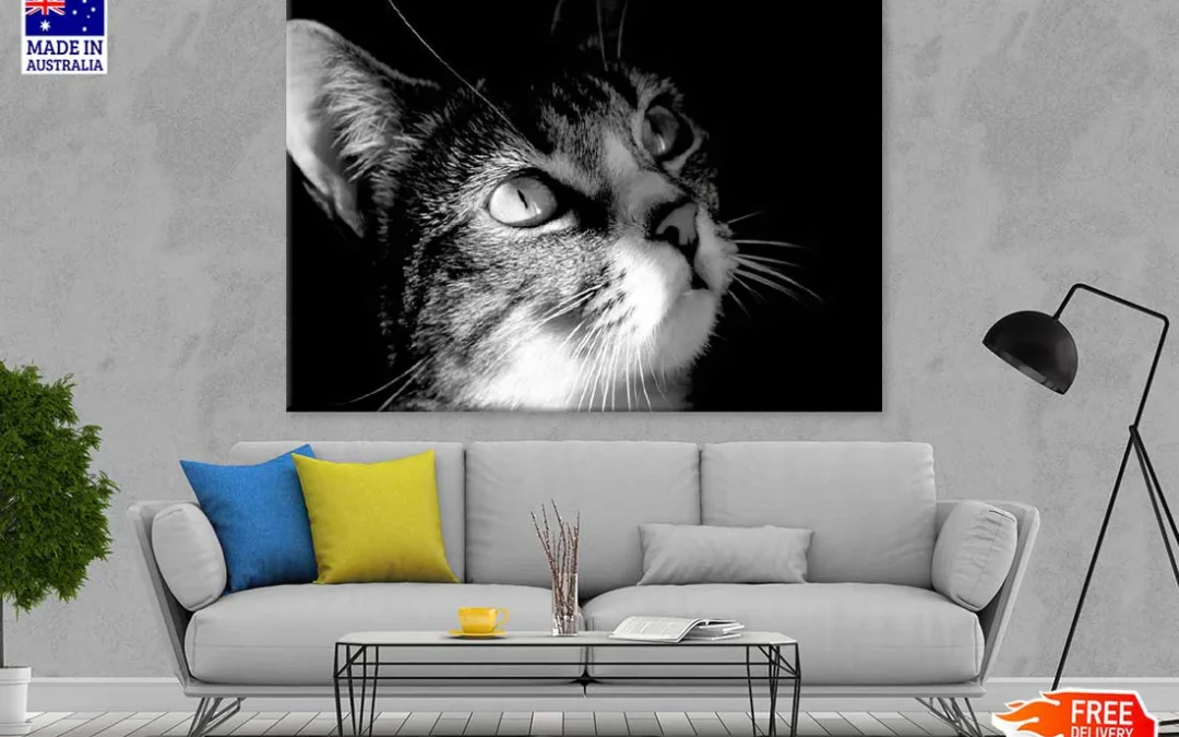 Cat Face View B&W Photograph Print 100% Australian Made