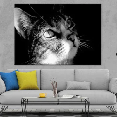 Cat Face View B&W Photograph Print 100% Australian Made