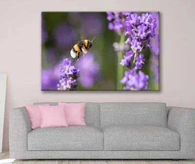 Bella Home Bumble Bee Flying & Purple Flower Print Canvas Ready to hang