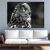 Owl Face Side View B&W Photograph Print 100% Australian Made - Image 3