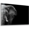 Half Face Elephant B&W Print Tempered Glass Wall Art 100% Made in Australia Ready to Hang - Image 4