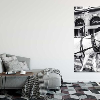 Bella Home Black And White Horse with Fashion Store Print Canvas Ready to hang