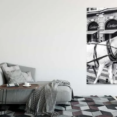 Bella Home Black And White Horse with Fashion Store Print Canvas Ready to hang