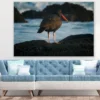 Blackish Oystercatcher Bird Closeup Photograph Print 100% Australian Made - Image 2