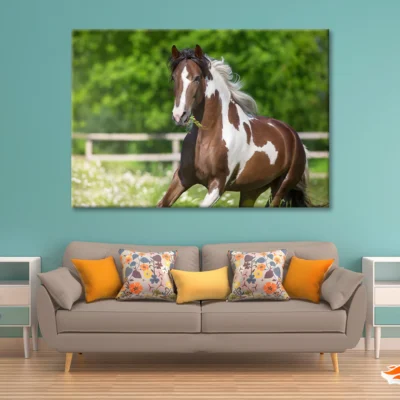 Brown And White Stallion Running Print 100% Australian Made