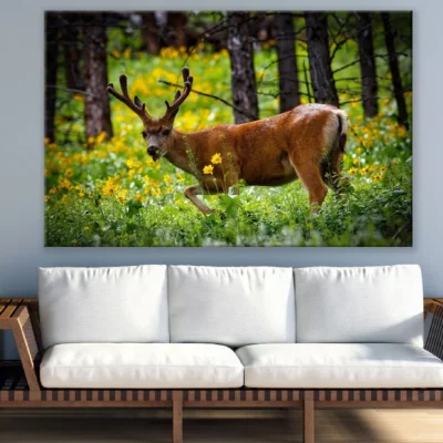 Elk in Forest Closeup Photograph Print 100% Australian Made