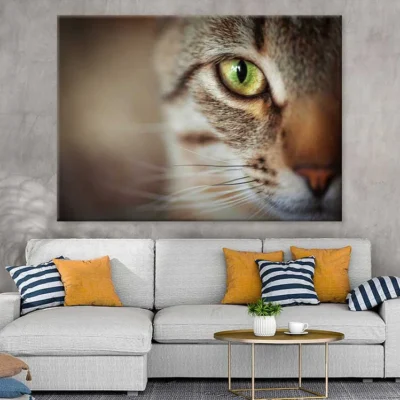 Cat Yellow Eye Closeup Photograph Print 100% Australian Made