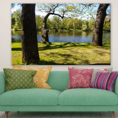 Forest Near Lake View Photograph Print 100% Australian Made