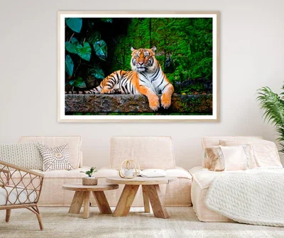 Beautiful Bengal Tiger with Lush Green Habitat Background Home Decor Premium Quality Poster Print Choose Your Sizes